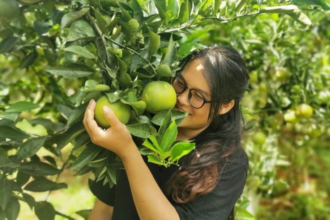 Kẹt lại Việt Nam vì dịch, người phụ nữ mua đất trồng trái cây sạch