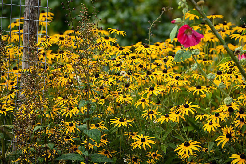 Thẳng tay tát con dâu vì 'không biết đẻ', một năm sau mẹ chồng phải quỳ gối xin tha thứ
