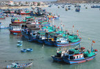 Marine plastic litter, an urgent problem on the Vietnamese coast