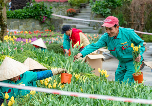 Sun Group được vinh danh ‘Doanh nghiệp xuất sắc châu Á’