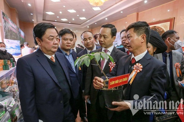 Bộ trưởng Lê Minh Hoan: Nông nghiệp Lai Châu cần một 'hoàng tử' thông minh đánh thức