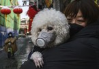 Phụ nữ Trung Quốc nuôi chó, mèo thay con