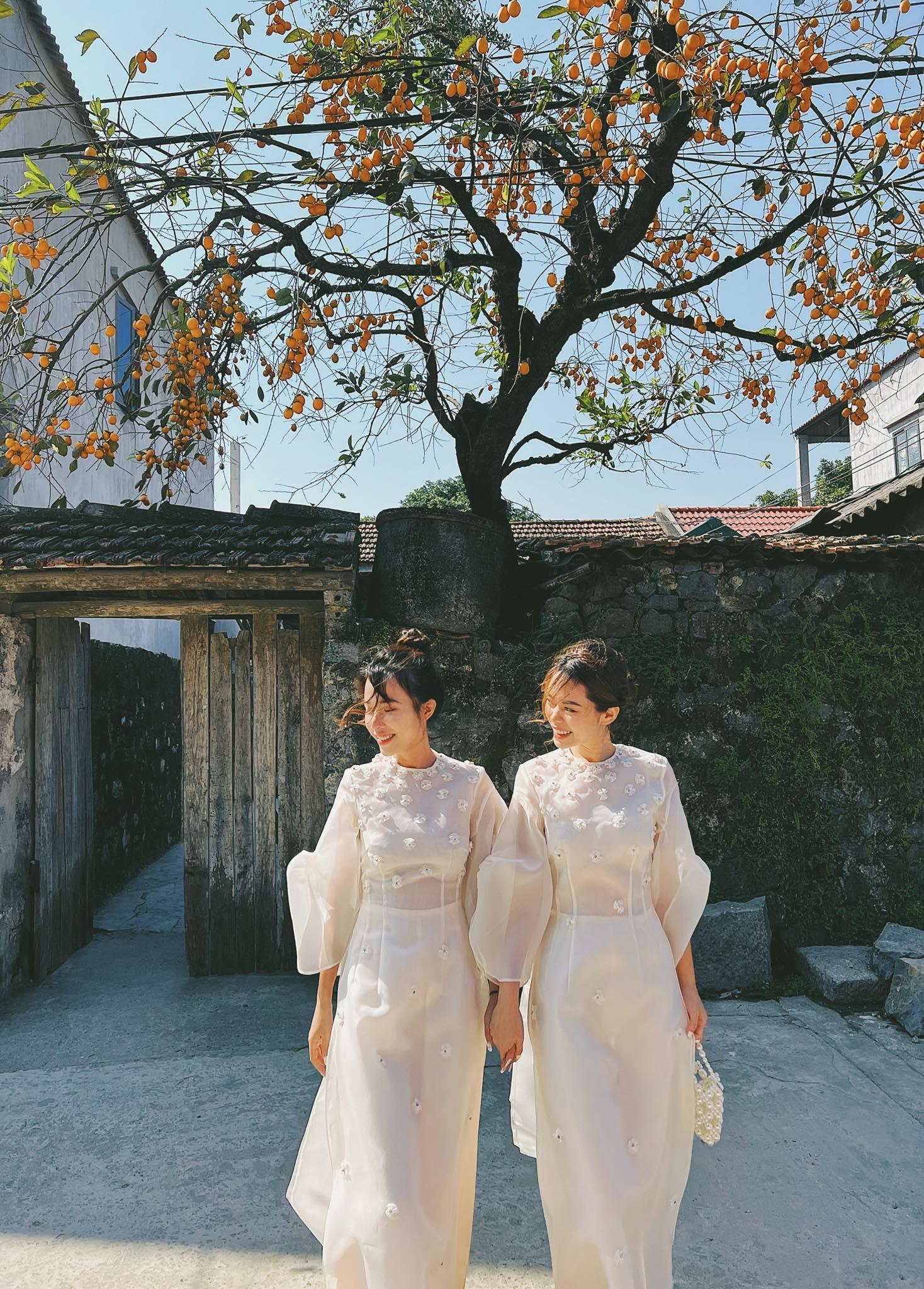 Tranh cãi 'nảy lửa' việc mặc hanbok Hàn Quốc check-in cây hồng cổ nổi tiếng Ninh Bình