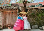 Tranh cãi 'nảy lửa' việc mặc hanbok Hàn Quốc check-in cây hồng cổ nổi tiếng Ninh Bình