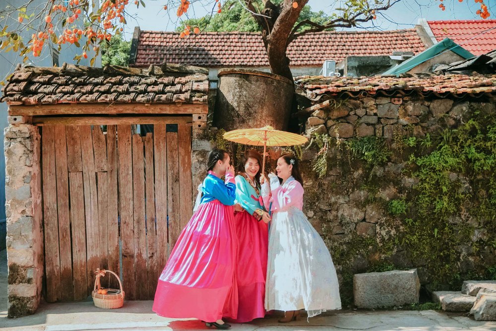 Tranh cãi 'nảy lửa' việc mặc hanbok Hàn Quốc check-in cây hồng cổ nổi tiếng Ninh Bình