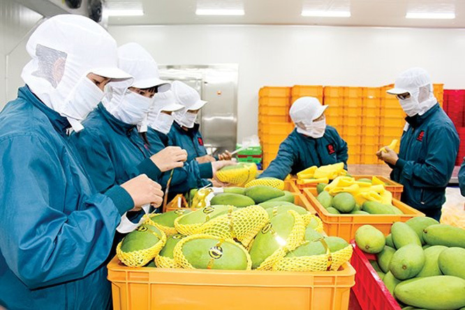 100,000 businesses leave market, millions of families in difficulties