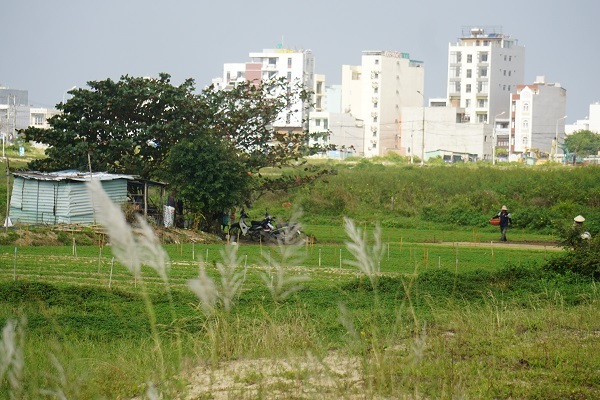 Hình ảnh hai khu 'đất vàng' ngàn tỷ trong vụ kiện khiến giám đốc tự tử tại tòa