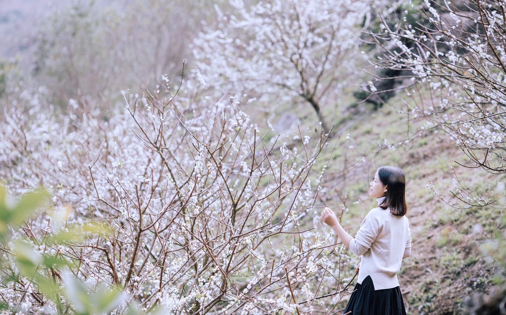 {keywords}