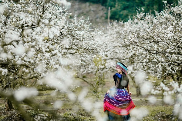 Dân vùng cam Hà Nội vội hủy tour, đổi điểm đến trước kì nghỉ Tết Dương lịch 2022