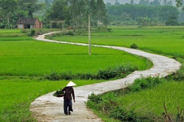 Lạc ga quê mình