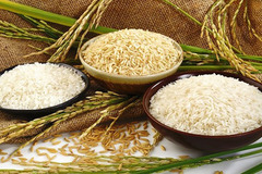 Xuất khẩu gạo Việt đạt mức giá cao