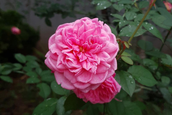 Thanh xuân của em không phải trò đùa của anh