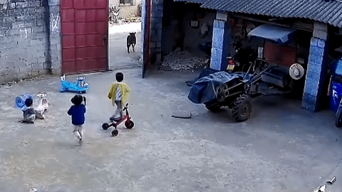 Hành động của 'người hùng' 6 tuổi bảo vệ 2 em gái