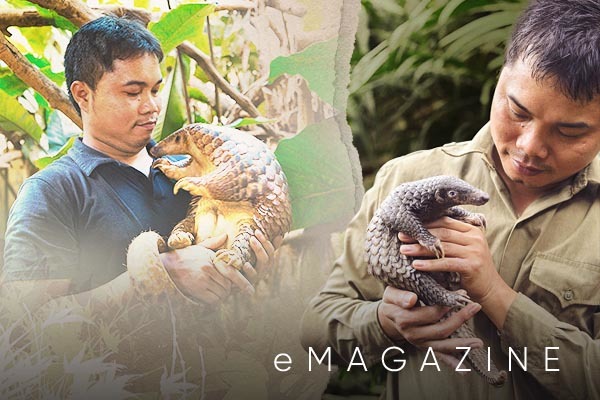 Chuyện cảm động về người 'để quên' trái tim trong những cánh rừng lặng