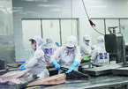 Multi-million-dollar tuna auctions to debut in Vietnam