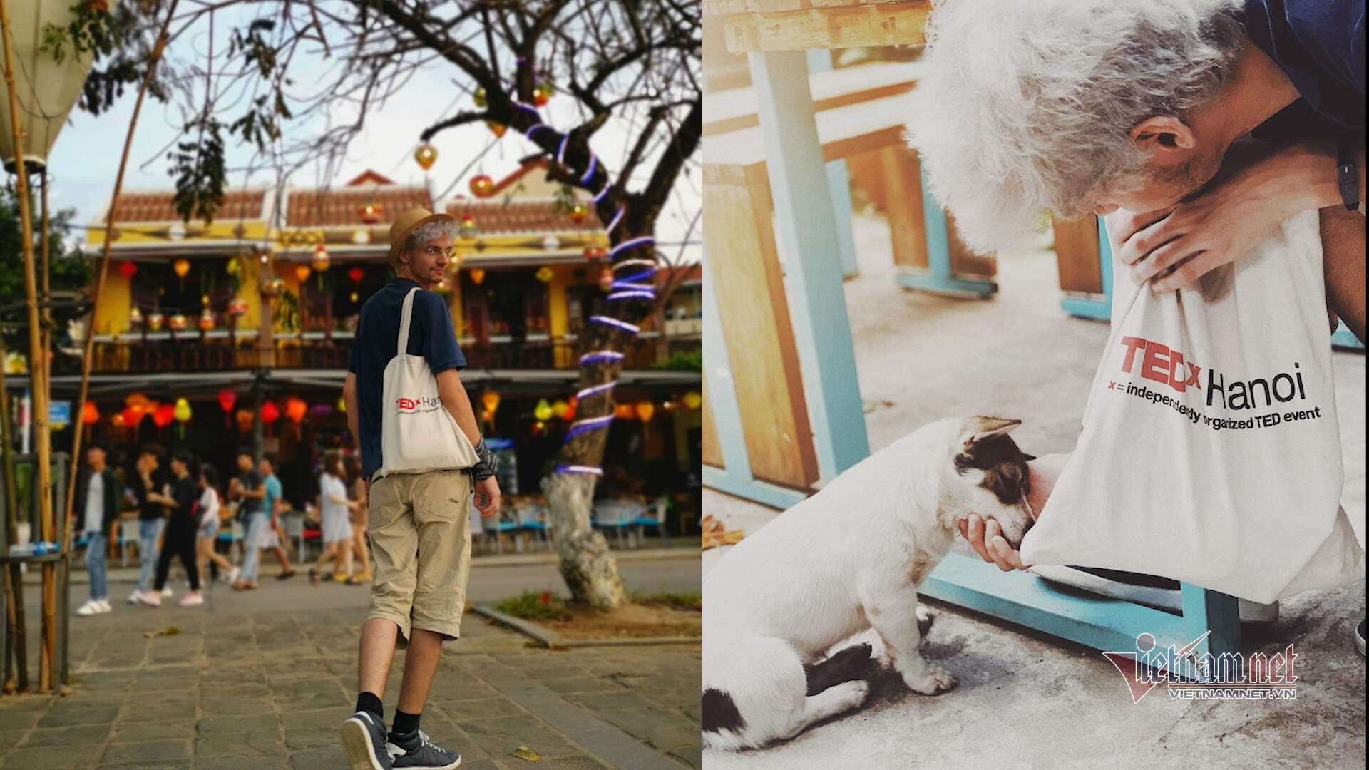 Hoi An says ‘no’ to dog, cat meat, decision applauded by foreign travelers