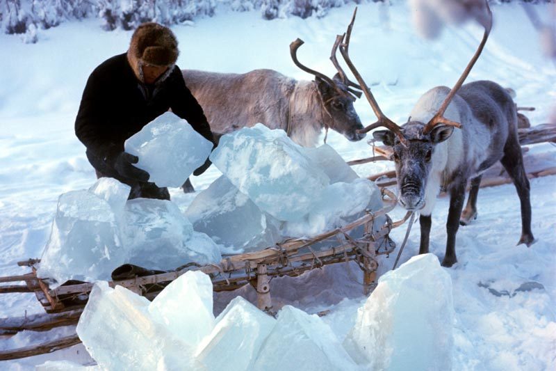 Nga cảnh báo nguy cơ hồi sinh các virus cổ bị đóng băng ở Bắc Cực