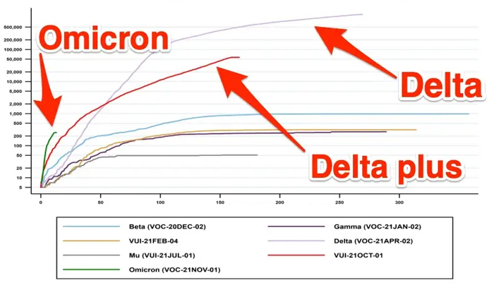 Một bức hình cho thấy Omicron lan nhanh như thế nào