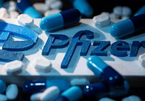 Thuốc Covid-19 của Pfizer ngăn ngừa nhập viện, tử vong tới 90%