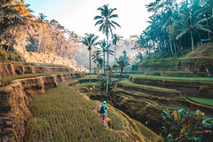 Đảo Bali chỉ đón vỏn vẹn 45 du khách Tây trong năm 2021