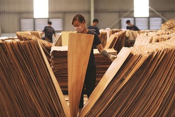 Woodwork manufacturers prosper despite Covid-19