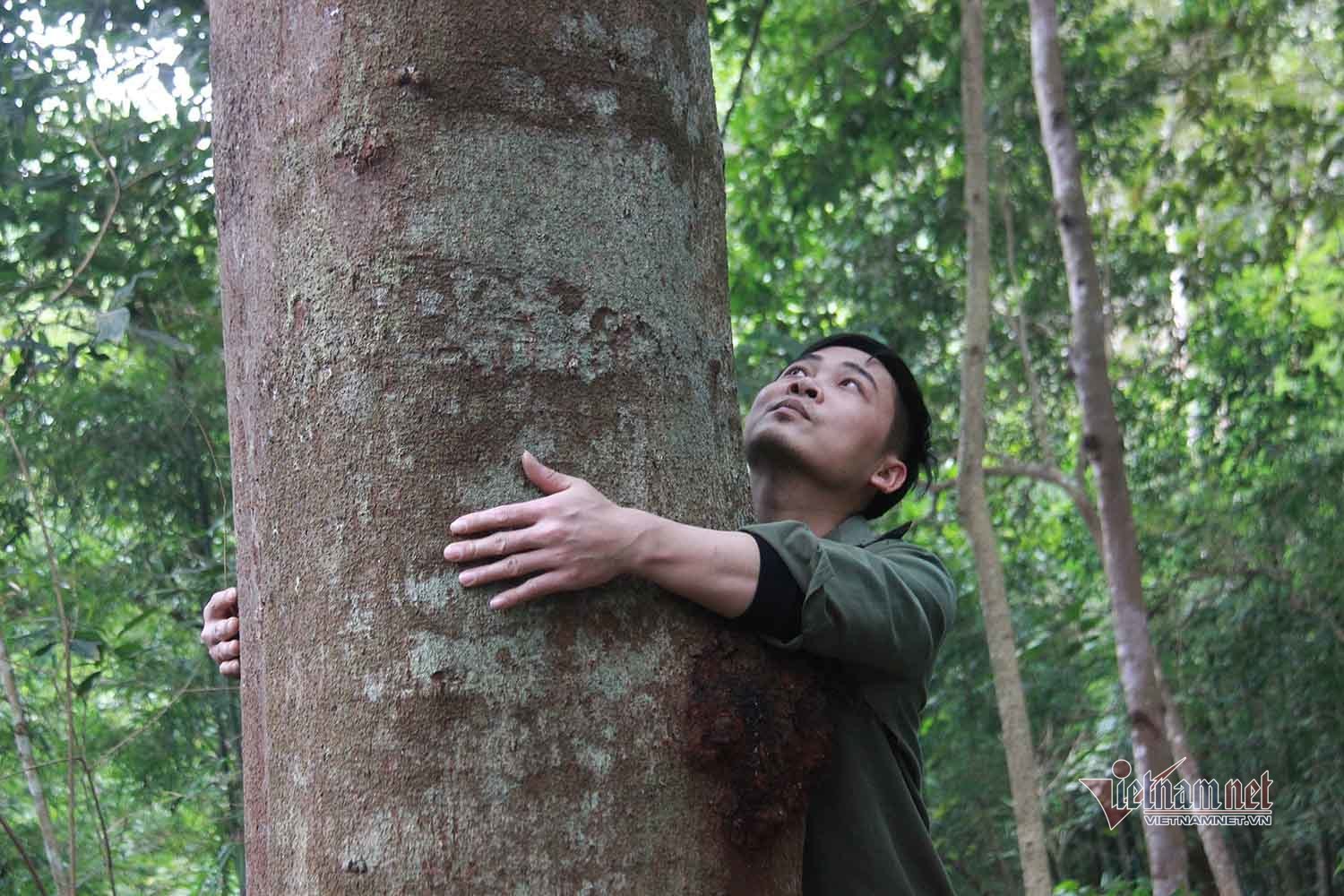 Ước nguyện của người sở hữu kho báu trong rừng ở Quảng Ninh