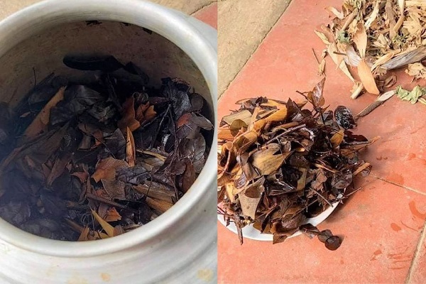 Uống thuốc nam trị viêm da, bé 13 ngày tuổi suy đa tạng nguy kịch