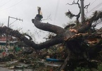 Ít nhất 75 người thiệt mạng vì siêu bão Rai càn quét Philippines