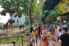 Thảo Cầm Viên Sài Gòn bất ngờ đón hàng nghìn khách vui chơi ngày cuối tuần