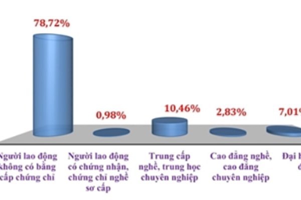 Gần 84% người thất nghiệp không có bằng cấp, chứng chỉ chuyên môn