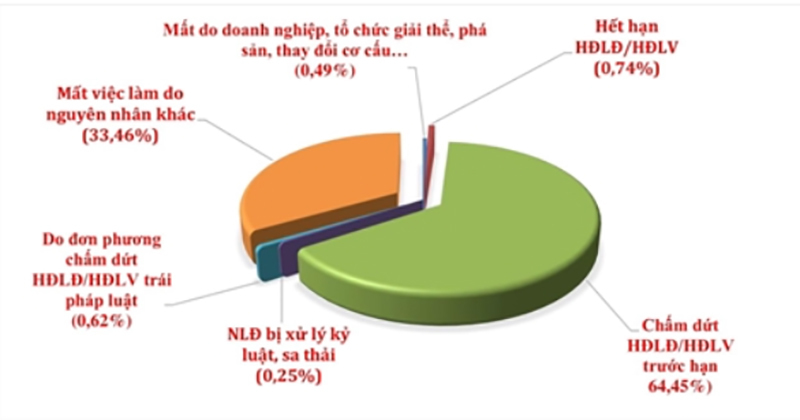 Gần 10% lao động thất nghiệp ở An Giang có trình độ đại học, cao đẳng