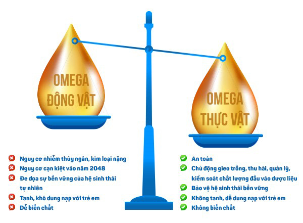 Những điều mẹ cần biết về Omega động vật và thực vật