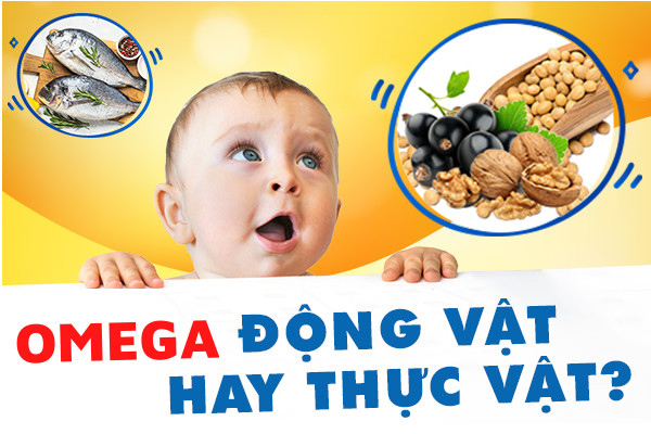 Những điều mẹ cần biết về Omega động vật và thực vật