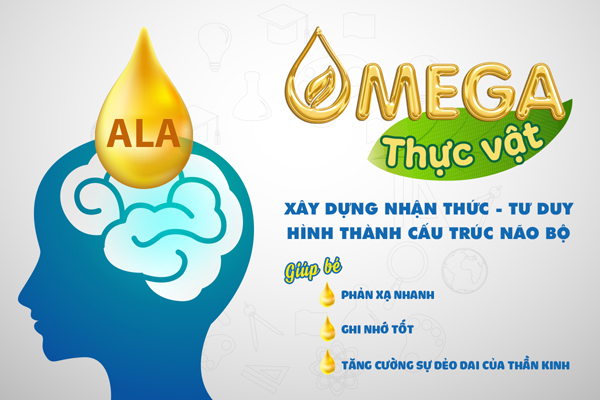 Những điều mẹ cần biết về Omega động vật và thực vật