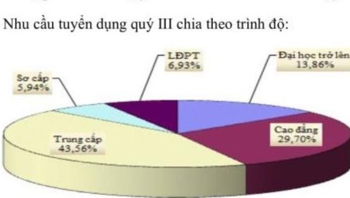 Hơn 2.700 người lao động Bình Định được tư vấn việc làm