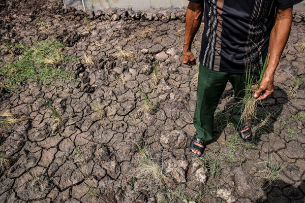 Mekong fishermen struggle to survive