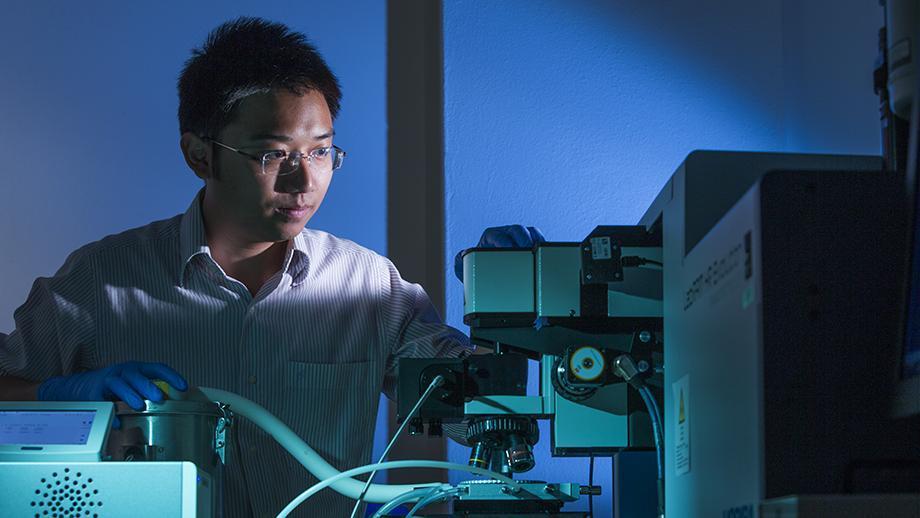 From village student in Vietnam to famous scientist in Australia