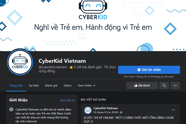 Vietnam's online child protection organization internationally honored
