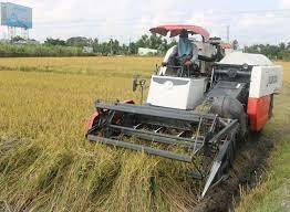 Bạc Liêu: Thiết lập và bảo vệ “vùng xanh” phục vụ sản xuất