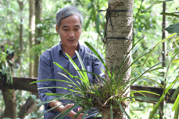 Tận mắt ngắm vườn lan rừng lớn nhất Việt Nam, với 200 loại 'hiếm có, khó tìm'