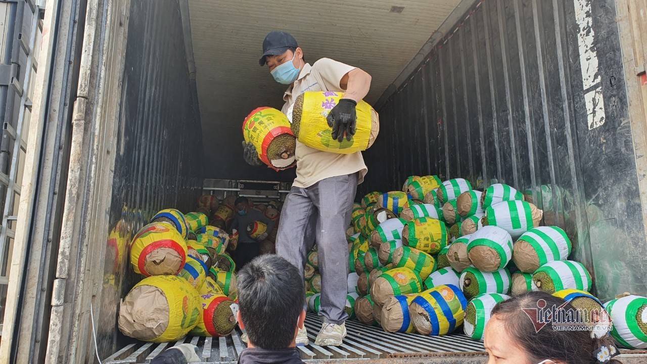 Trăm nghìn tấn trái cây ùn ứ cửa khẩu, người dân Lạng Sơn ngợp trong “biển” mít
