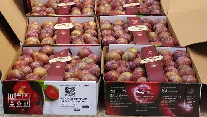 Made-in-Vietnam stamp changes mindset of buyers of organic fruit