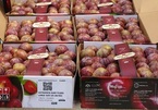 Made-in-Vietnam stamp changes mindset of buyers of organic fruit