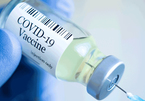 Người không tiêm vắc xin nguy cơ trở nặng cao gấp 60 lần khi nhiễm Covid-19