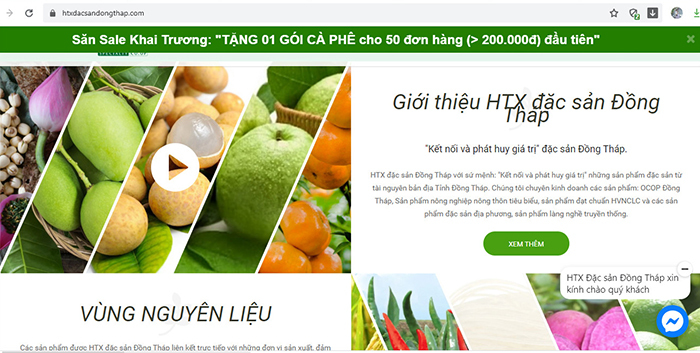 Đồng Tháp: Đẩy mạnh giao thương trực tuyến