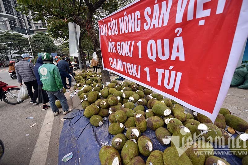 Mít Thái tràn về Hà Nội, giá rẻ ê hề chất đống đầy vỉa hè