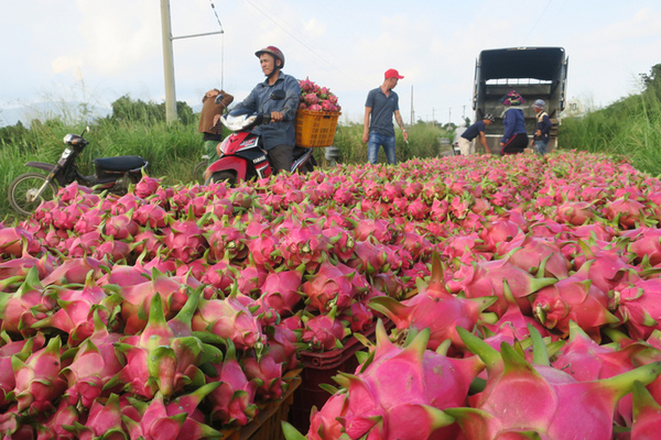 China releases decision that puts Vietnam’s farm exports at disadvantage