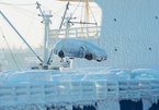 Hàng chục ô tô bị đóng băng khi được vận chuyển từ Hàn Quốc đến Nga