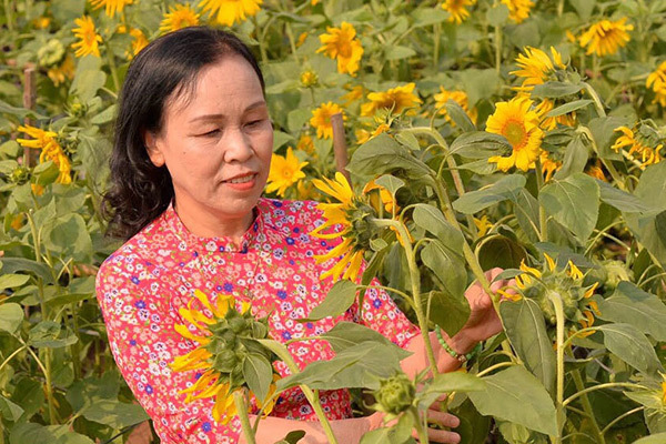 Mẹ là điểm tựa bình an của chúng con