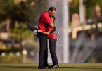 Tiger Woods: Nỗ lực để một lần nữa hồi sinh